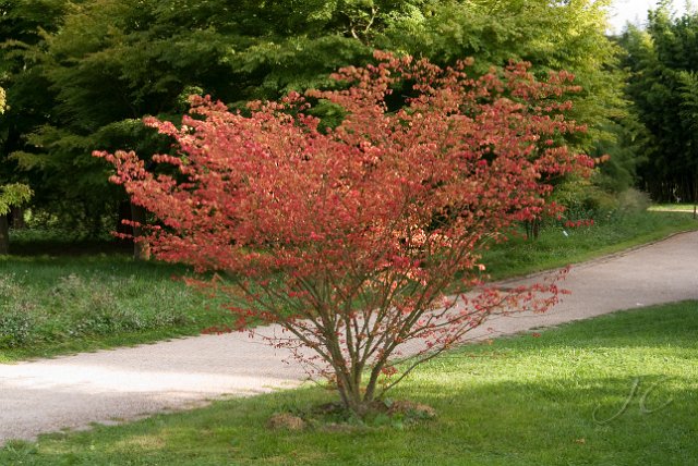 0044Arboretum Vallee aux loups.jpg - SONY DSC